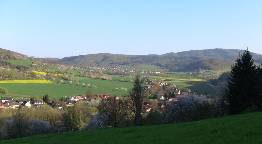 Kirschlüte 2016 in Werleshausen